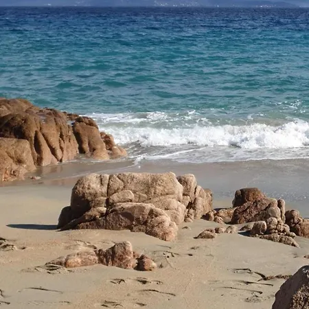 T2 A Louer Semaine Ou Mois Aux Sanguinaires * Ajaccio (Corsica)